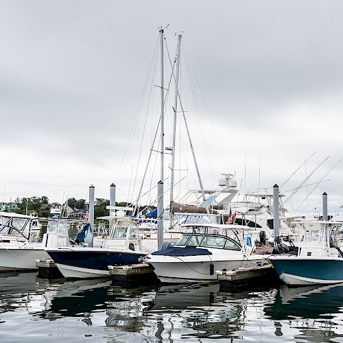 Several boats are docked at a marina on a cloudy day, with calm water reflecting the boats and overcast sky.