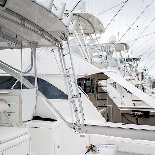 The image shows a row of docked white boats, featuring fishing rods, ladders, and comfortable seating under cloudy skies.