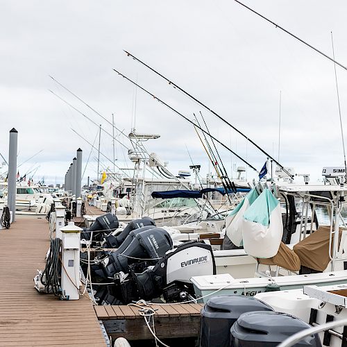 The image shows a marina dock with several motorboats tied to it, fishing rods mounted on the boats, and a cloudy sky.