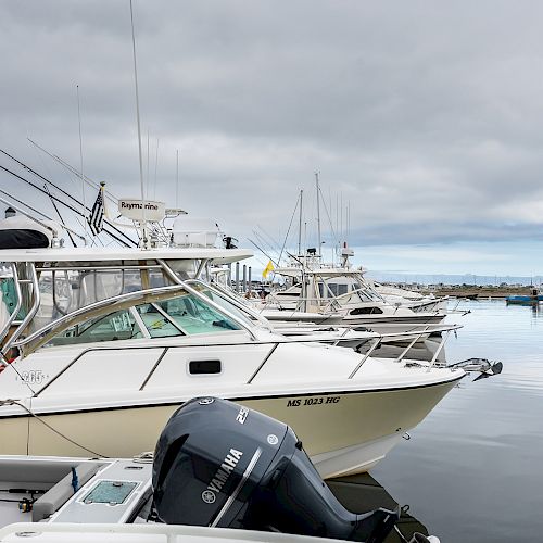 A marina with various boats docked in calm water under a cloudy sky. One boat's registration number, MC 8092 NR, is visible on the side.