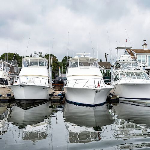 The image shows five white yachts moored at a dock with their reflections visible in calm water, with buildings and trees in the background.