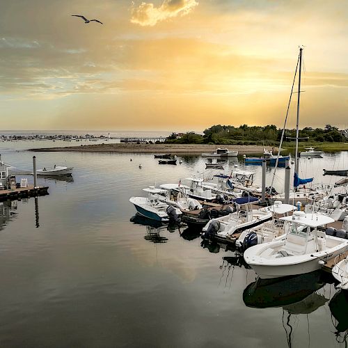 A serene marina at sunset with several docked boats and a small house, while birds fly overhead and the sky glows in warm colors.