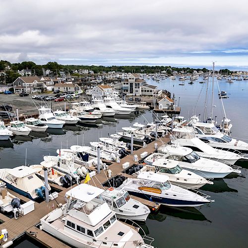 The image shows a marina filled with various boats docked at piers, with houses and buildings lining the waterfront in the background.