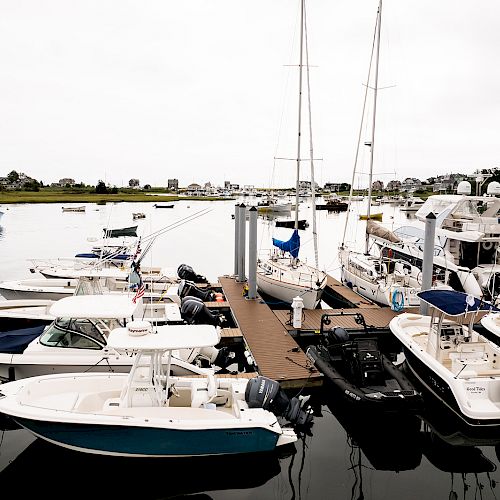 The image shows a marina with several boats and yachts docked at a wooden pier on a calm, overcast day. The background includes a shoreline.