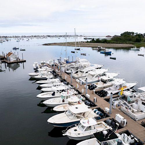 The image shows a serene marina, with numerous boats docked along floating piers on calm waters. The peaceful scenery is complemented by distant land.