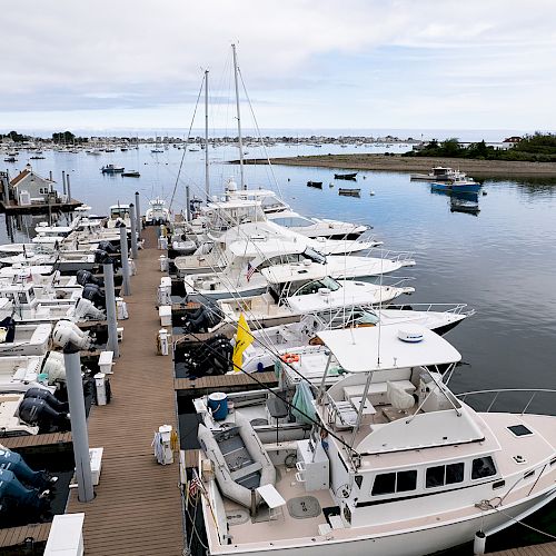 A marina with multiple boats docked along a wooden pier is shown, surrounded by calm waters and some distant land and buildings.